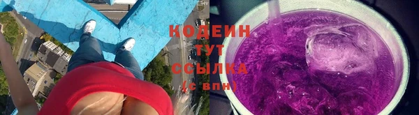 мет Няндома