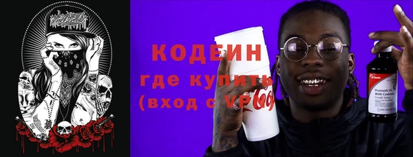 мет Няндома