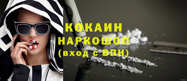 мет Няндома