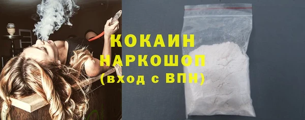 мет Няндома