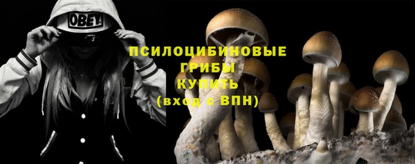 ешки Нязепетровск