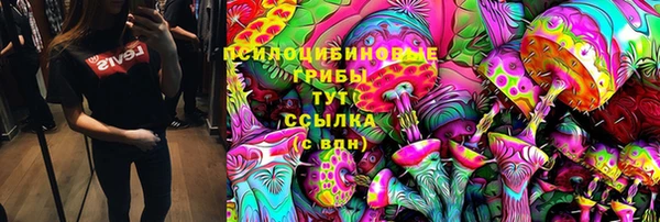 стаф Нягань