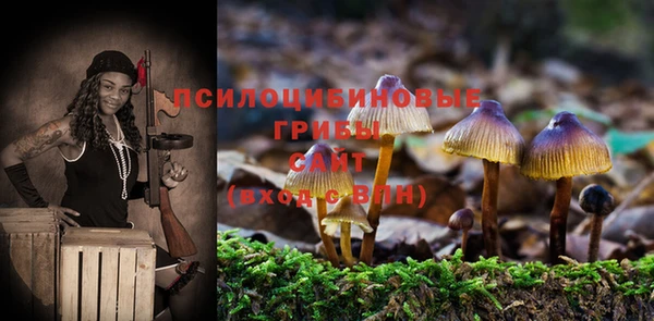 ешки Нязепетровск
