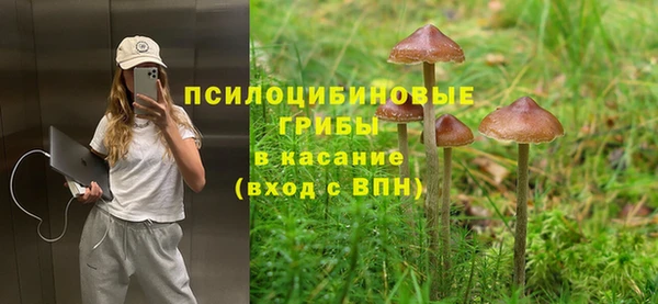 ешки Нязепетровск