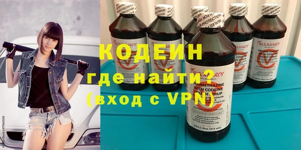 мет Няндома