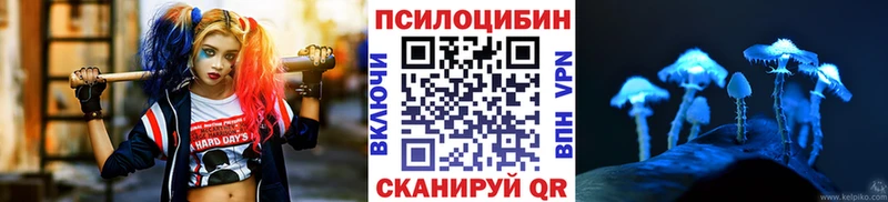 где можно купить наркотик  Ясный  Галлюциногенные грибы мухоморы 